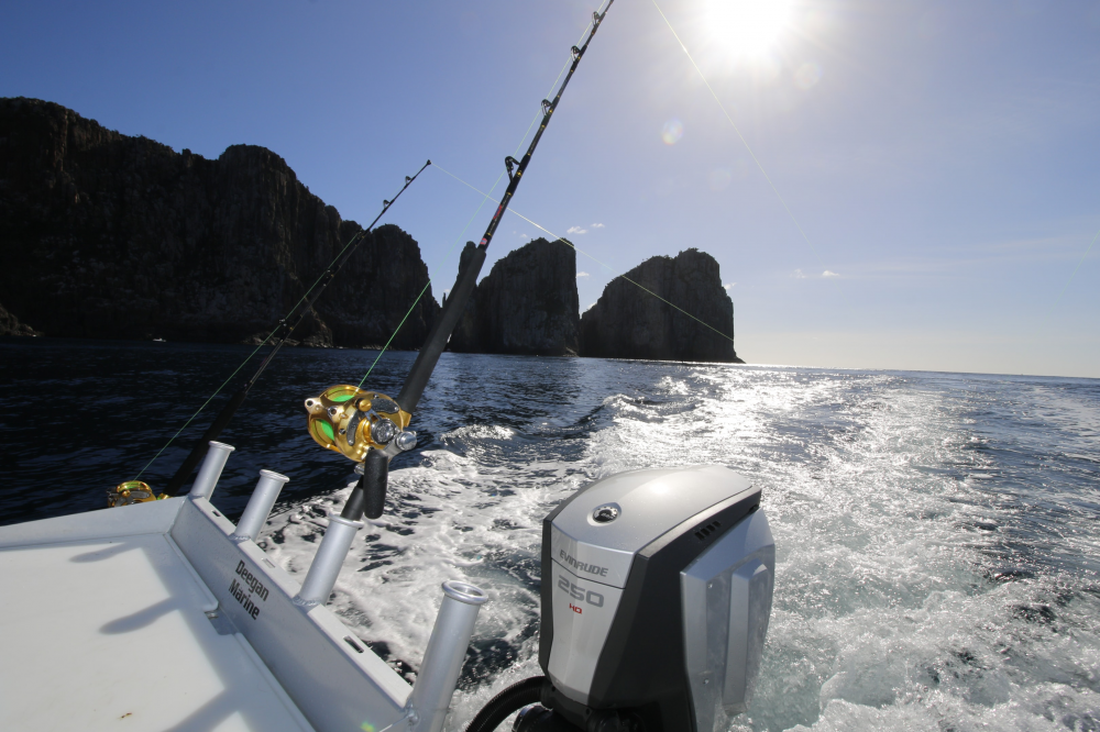 Game fishing Tasman Island